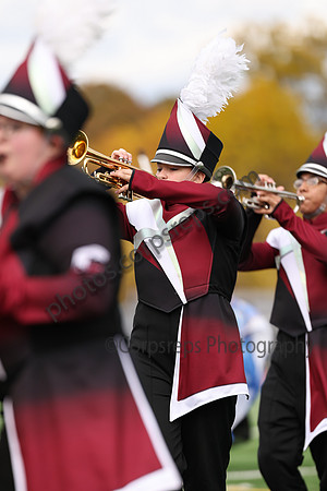 Chichester_251101_Willow Grove-cb00032