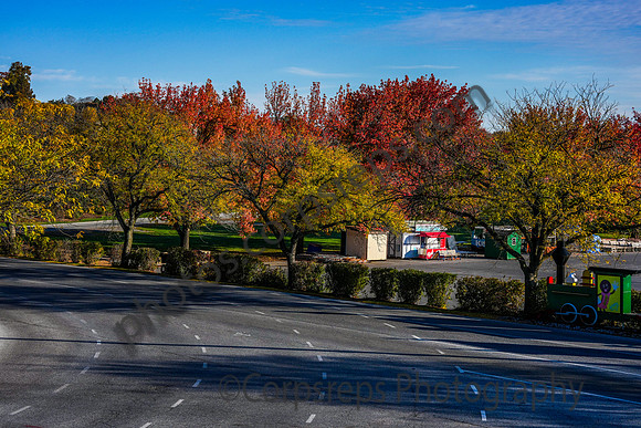 _251102_Hershey-cm04975