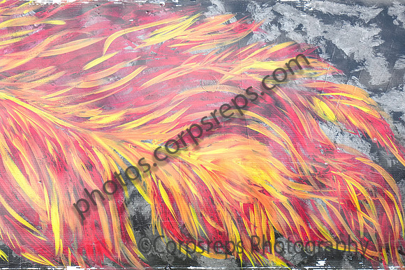 Shawnee_251101_Hershey-cm01965