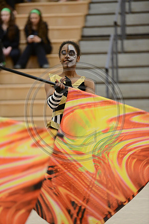 Bloomfield Guard-540