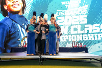 Group IV Selmer Awards_251108_MetLife-00122