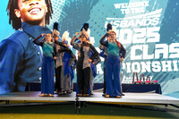 Group IV Selmer Awards_251108_MetLife-00123