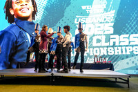 Group IV Selmer Awards_251108_MetLife-00128