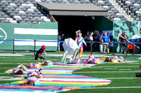 Allentown_251108_MetLife-cm01118