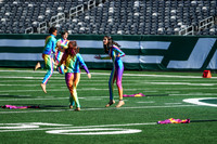 Allentown_251108_MetLife-cm01128
