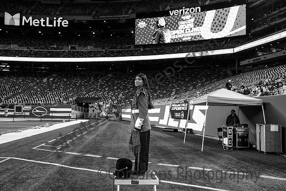Bergenfield_251108_MetLife-cm03907