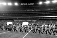 Bergenfield_251108_MetLife-cm03925