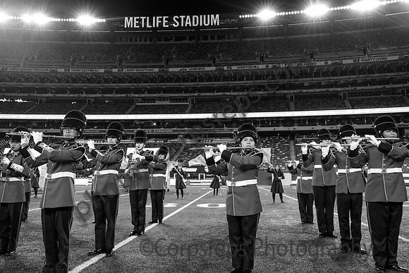 Bergenfield_251108_MetLife-cm03930