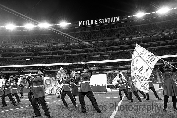 Bergenfield_251108_MetLife-cm03940