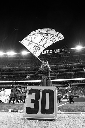 Bergenfield_251108_MetLife-cm03950