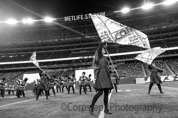 Bergenfield_251108_MetLife-cm03948