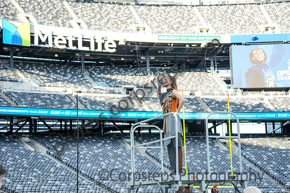 Egg Harbor Township_251108_MetLife-cm02175