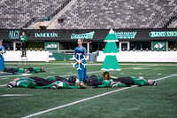Mansfield_251108_MetLife-cm02007