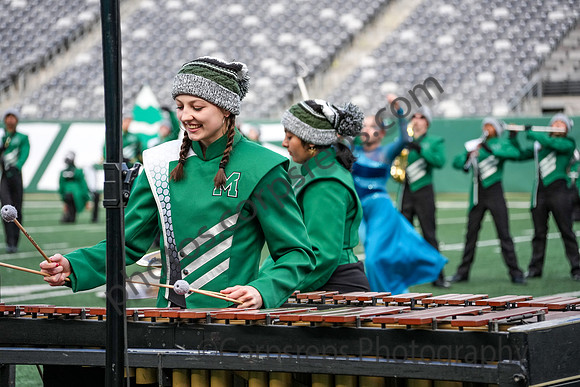 Mansfield_251108_MetLife-cm02059
