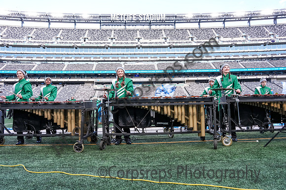 Mansfield_251108_MetLife-cm02077