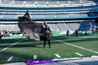 Naugatuck_251108_MetLife-cm01631