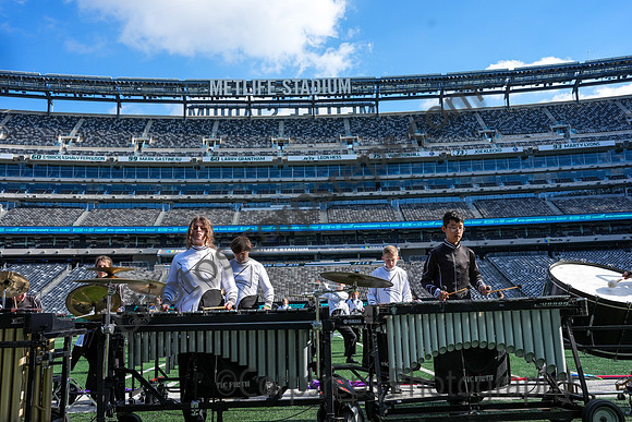 Newtown_251108_MetLife-cm01273