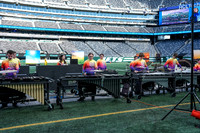 Perkiomen Valley_251108_MetLife-cm01908
