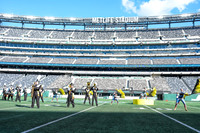 Trumbull_251108_MetLife-cm01515
