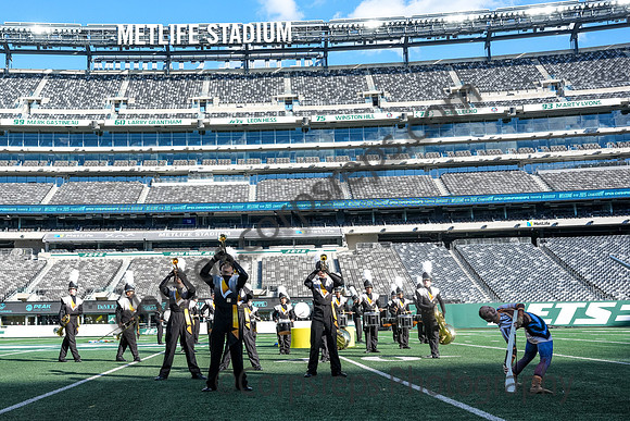 Trumbull_251108_MetLife-cm01528