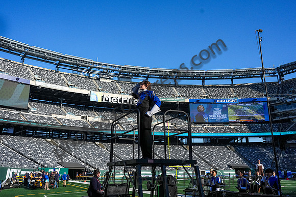Wetherfield_251108_MetLife-cm00500