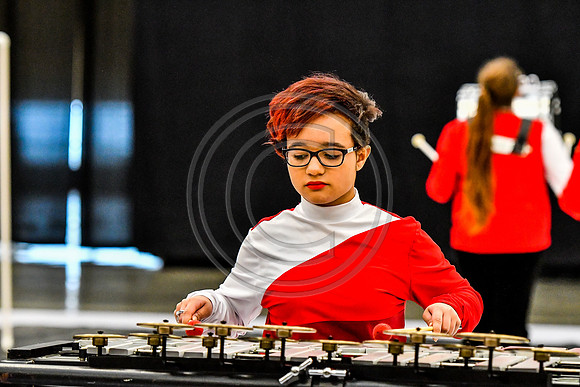 Darkhorse Percussion_160428_Wildwood-0841