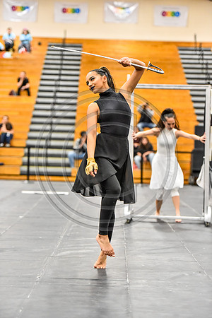 Hicksville Black Guard-742