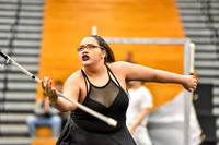Hicksville Black Guard-743