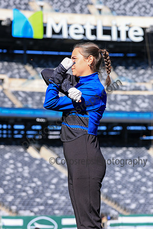 Camp Hill_251108_MetLife-jb00583