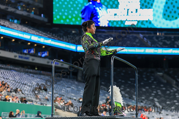 Cheshire_251108_MetLife-jb03830