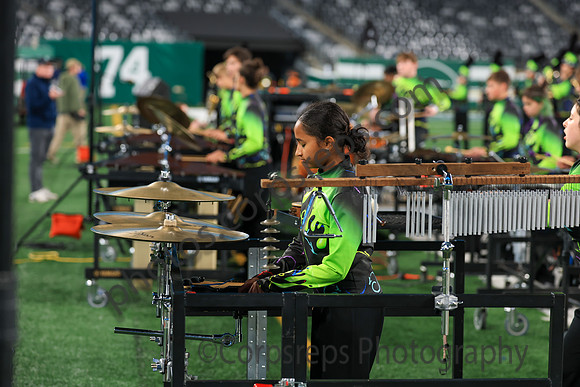 Cheshire_251108_MetLife-jb03832