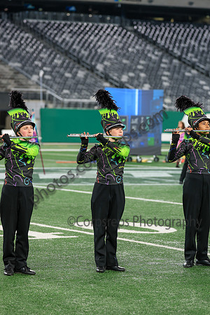 Cheshire_251108_MetLife-jb03864