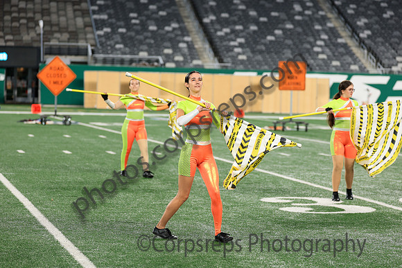 Downingtown East_251108_MetLife-jb03313