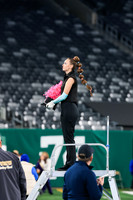 Downingtown West_251109_MetLife-jb04485