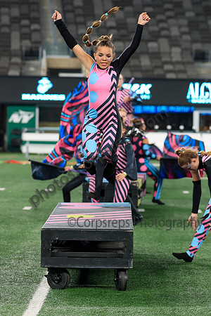 Downingtown West_251109_MetLife-jb04501