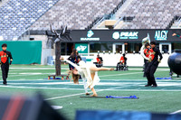 Edison_251108_MetLife-jb01540