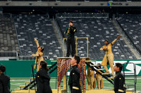 John P. Stevens_251108_MetLife-jb04106