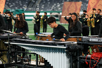 John P. Stevens_251108_MetLife-jb04108