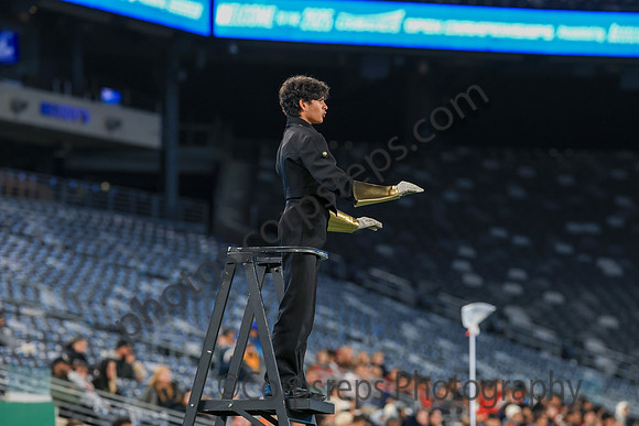 John P. Stevens_251108_MetLife-jb04144