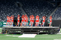 North Penn_251108_MetLife-jb03963