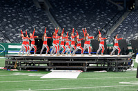 North Penn_251108_MetLife-jb03965