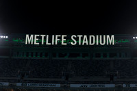 Other_251108_MetLife-jb03298