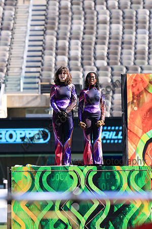 Princess Anne_251108_MetLife-jb00089