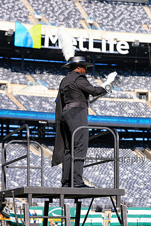 Princess Anne_251108_MetLife-jb00091