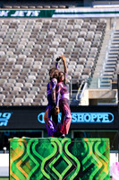 Princess Anne_251108_MetLife-jb00093