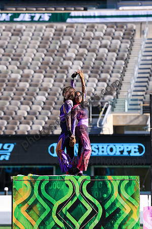 Princess Anne_251108_MetLife-jb00093