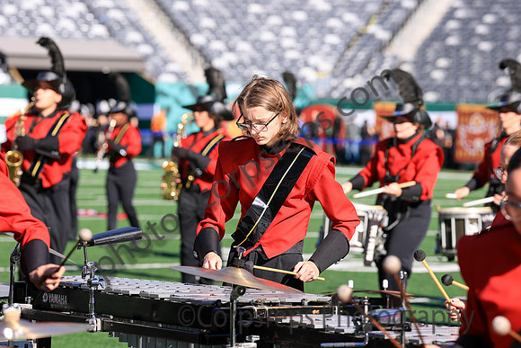 Princess Anne_251108_MetLife-jb00095