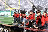 Princess Anne_251108_MetLife-jb00097