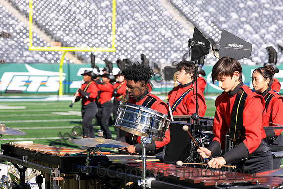 Princess Anne_251108_MetLife-jb00097