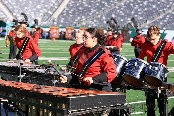 Princess Anne_251108_MetLife-jb00096
